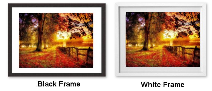 Select Your Frame Select Your Frame